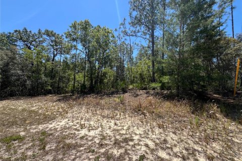 Land in Beverly Hills, Florida № 1636072 - photo 4