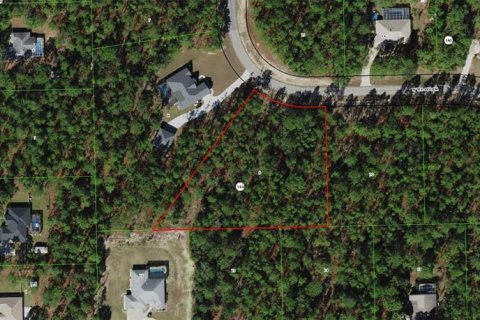 Land in Beverly Hills, Florida № 1636072 - photo 2