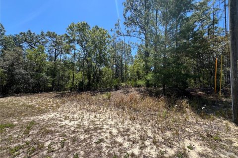 Land in Beverly Hills, Florida № 1636072 - photo 5
