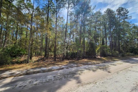 Land in Georgetown, Florida № 2160666 - photo 4