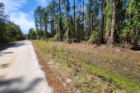 Land in Georgetown, Florida № 2160666