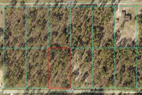 Land in Dunnellon, Florida № 1885060 - photo 1