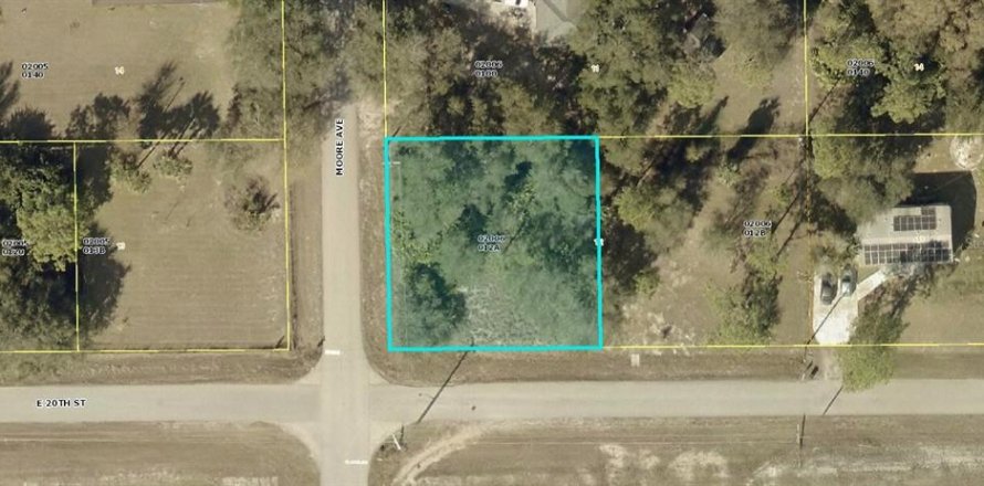 Land in Alva, Florida № 2160305