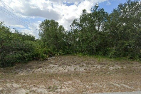Land in Alva, Florida № 2160305 - photo 3