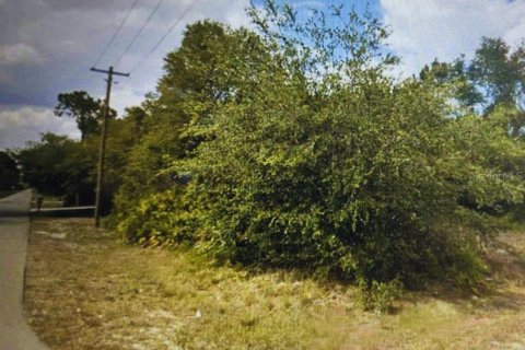 Land in Alva, Florida № 2160305 - photo 2