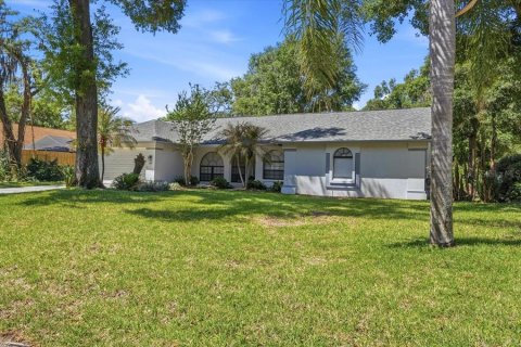 Villa ou maison à Plant City, Floride 4 chambres, 212.93 m2 № 2095879