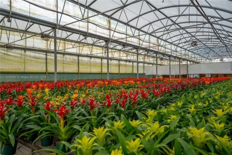 Commercial property in Homestead, Florida № 1981331 - photo 4