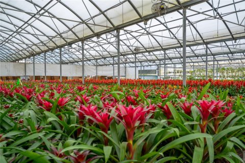 Commercial property in Homestead, Florida № 1981331 - photo 3