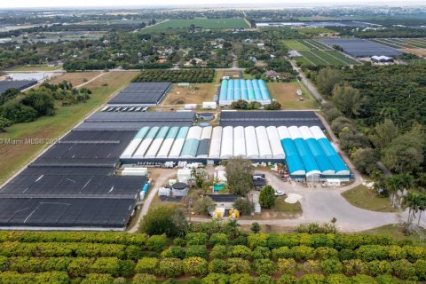 Commercial property in Homestead, Florida № 1981331 - photo 1