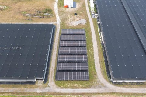 Commercial property in Homestead, Florida № 1981331 - photo 2