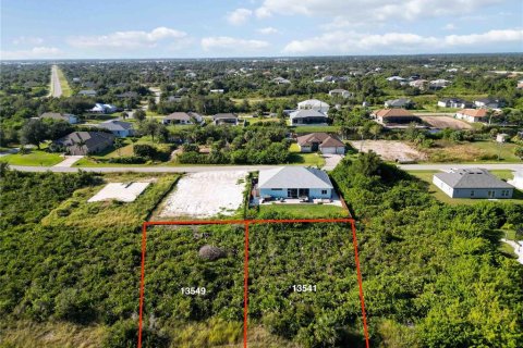 Land in Port Charlotte, Florida № 2159999 - photo 5