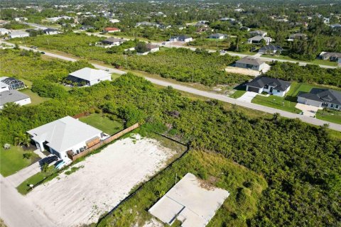 Land in Port Charlotte, Florida № 2159999 - photo 4