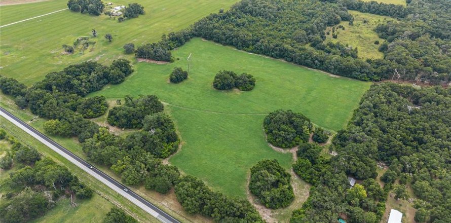 Terrain à Newberry, Floride № 2124218