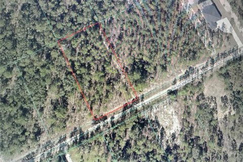 Terreno en Dunnellon, Florida № 2220702