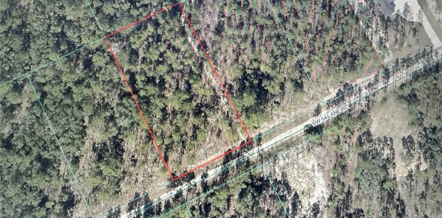 Terrain à Dunnellon, Floride № 2220702