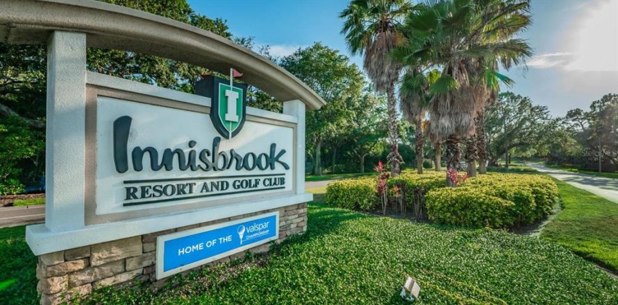 Studio à Condo à Palm Harbor, Floride  № 2410618