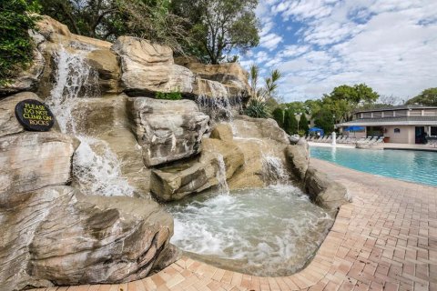 Copropriété à louer à Palm Harbor, Floride: 1 chambre, 49.24 m2 № 2410618 - photo 10