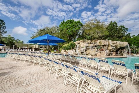 Copropriété à louer à Palm Harbor, Floride: 1 chambre, 49.24 m2 № 2410618 - photo 8