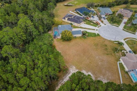 Terreno en venta en New Port Richey, Florida № 1543733 - foto 14