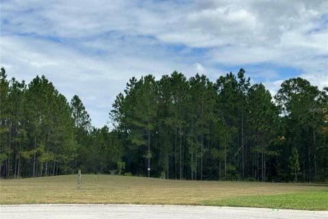 Terreno en venta en New Port Richey, Florida № 1543733 - foto 7