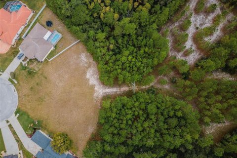 Terreno en venta en New Port Richey, Florida № 1543733 - foto 17