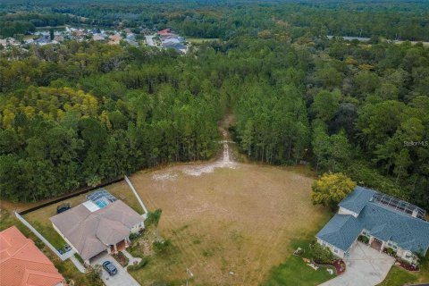Terreno en venta en New Port Richey, Florida № 1543733 - foto 20