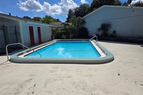 Copropriété à louer à Tampa, Floride: 1 chambre, 31.22 m2 № 1520347 - photo 4