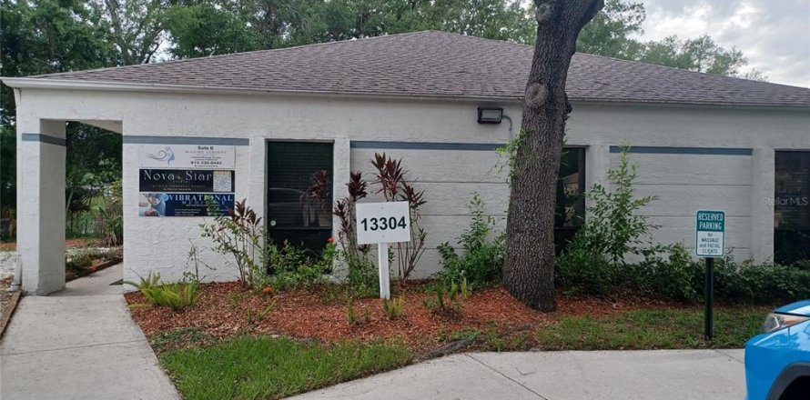 Commercial property in Tampa, Florida № 2239781