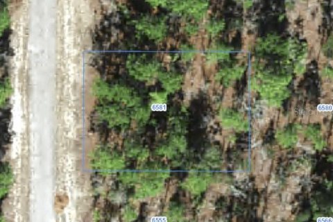 Land in Citrus Springs, Florida № 2388256