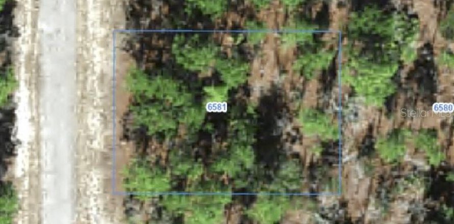 Land in Citrus Springs, Florida № 2388256