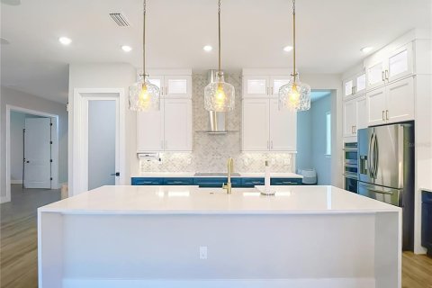 Villa ou maison à vendre à Wesley Chapel, Floride: 4 chambres, 333.43 m2 № 2223714 - photo 4