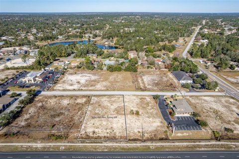 Land in Weeki Wachee, Florida № 262014 - photo 14