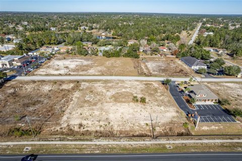 Land in Weeki Wachee, Florida № 262014 - photo 4