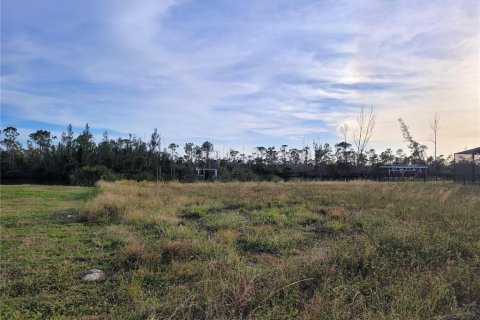 Land in Port Charlotte, Florida № 1564466 - photo 1