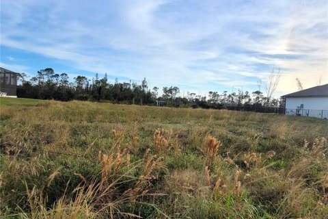 Land in Port Charlotte, Florida № 1564466 - photo 3