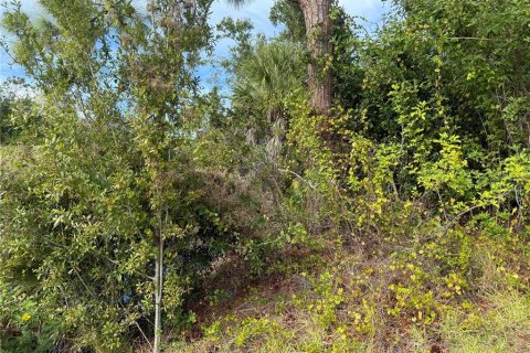 Land in Englewood, Florida № 2166674 - photo 11