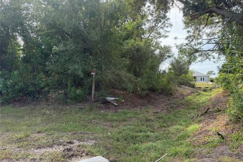 Land in Englewood, Florida № 2166674 - photo 6