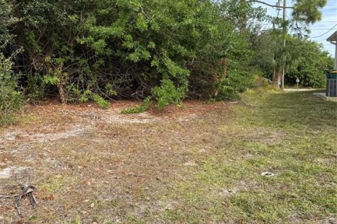 Land in Englewood, Florida № 2166674 - photo 4