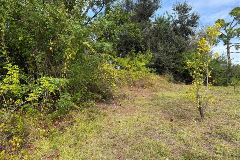 Land in Englewood, Florida № 2166674 - photo 2