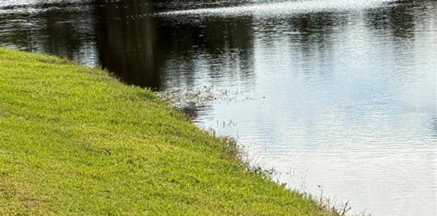 Land in Englewood, Florida № 2166674