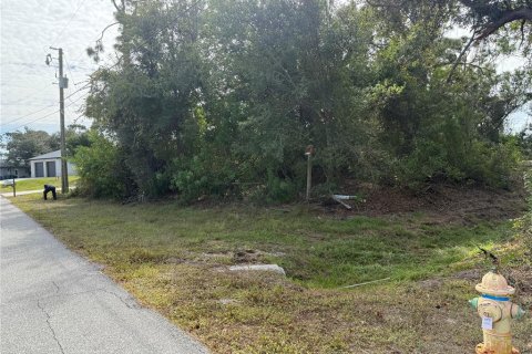 Land in Englewood, Florida № 2166674 - photo 5