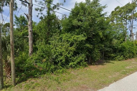 Land in Englewood, Florida № 2166674 - photo 3