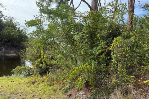 Land in Englewood, Florida № 2166674 - photo 10