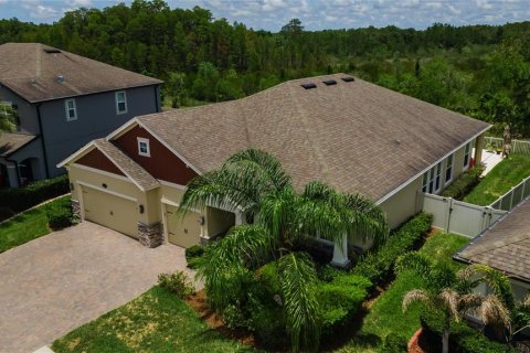 Casa en venta en Lutz, Florida, 4 dormitorios, 256.6 m2 № 2167385 - foto 6