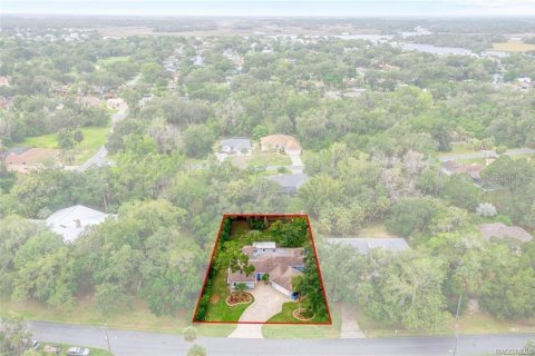House in Homosassa, Florida 3 bedrooms, 261.43 sq.m. № 2205552 - photo 2