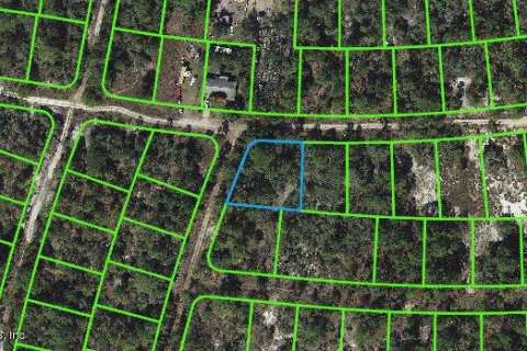 Land in Lake Placid, Florida № 2160465