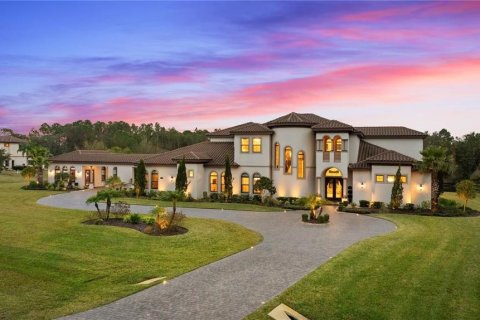 Casa en venta en Thonotosassa, Florida, 8 dormitorios, 760.87 m2 № 1907614 - foto 1