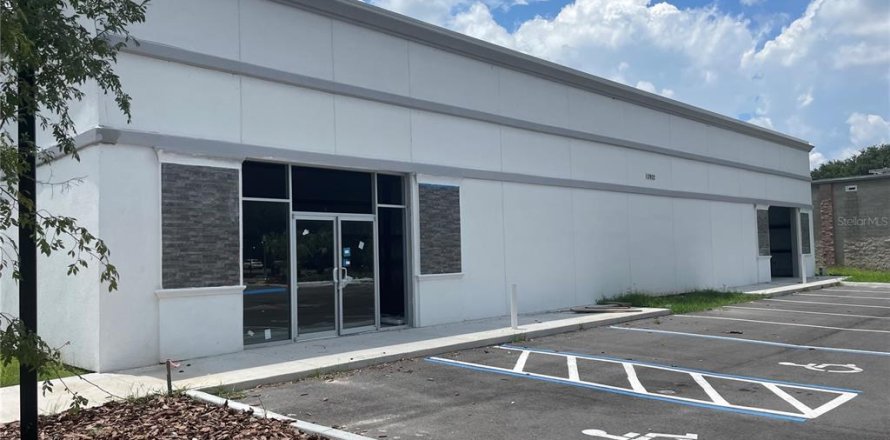 Immobilier commercial à Lady Lake, Floride 371.61 m2 № 1743339