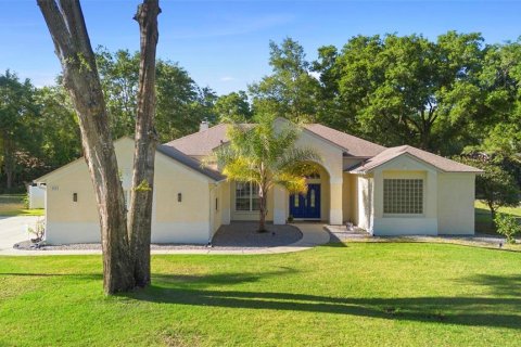 Casa en venta en DeLand, Florida, 3 dormitorios, 238.94 m2 № 1665952 - foto 1