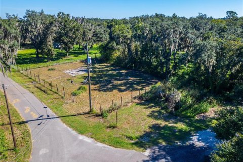 Land in Dover, Florida № 2393902 - photo 11